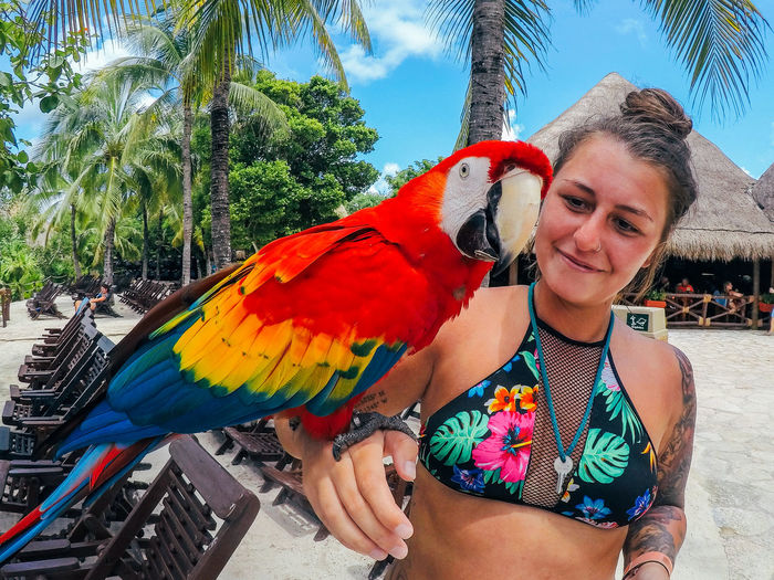 Smiling young woman with scarlet macaw on hand