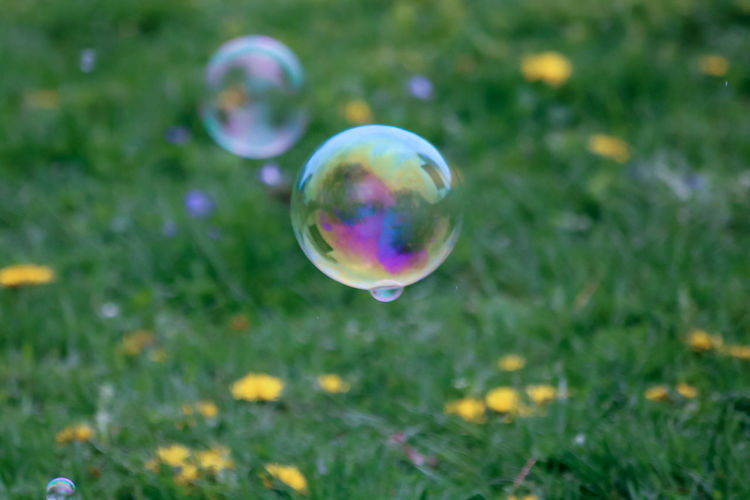 Close-up of bubbles in field