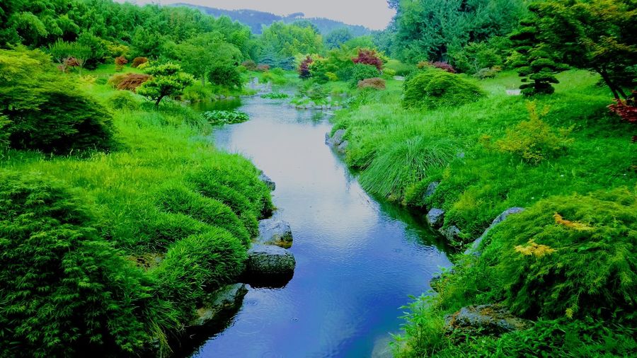 Scenic view of river amidst green landscape
