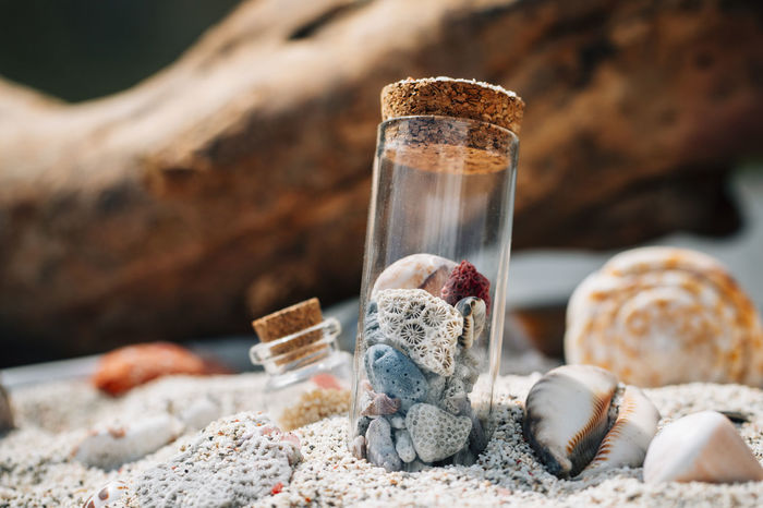 Close-up of stones and seashells in container at beach