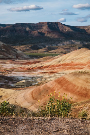 Scenic view of painted hills in oregon