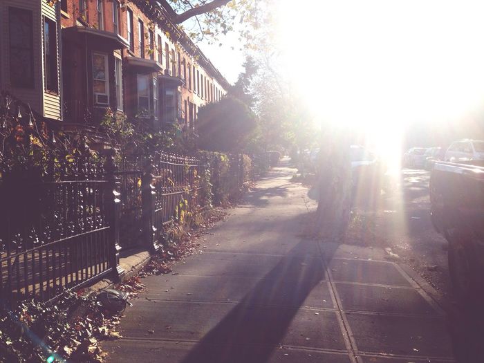 City street at sunset