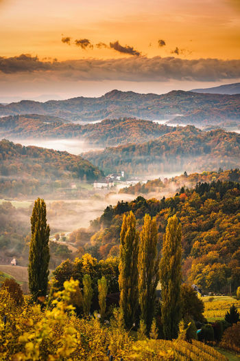 South styria vineyards landscape, tuscany of austria. sunrise in autumn. colorful trees