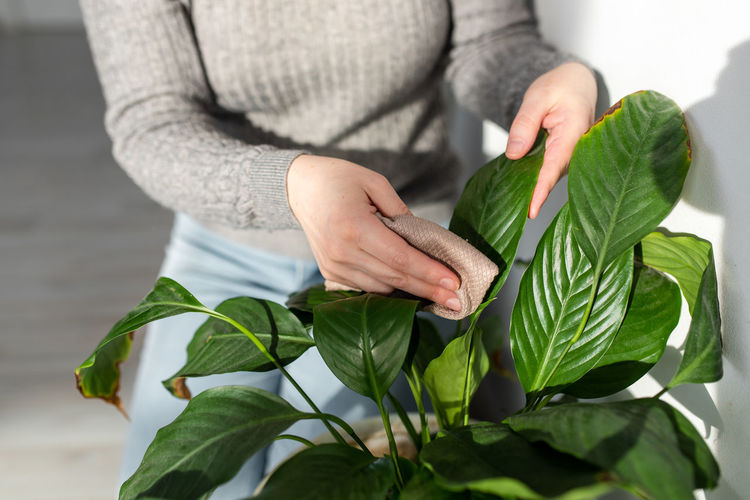 Midsection of woman holding leaf