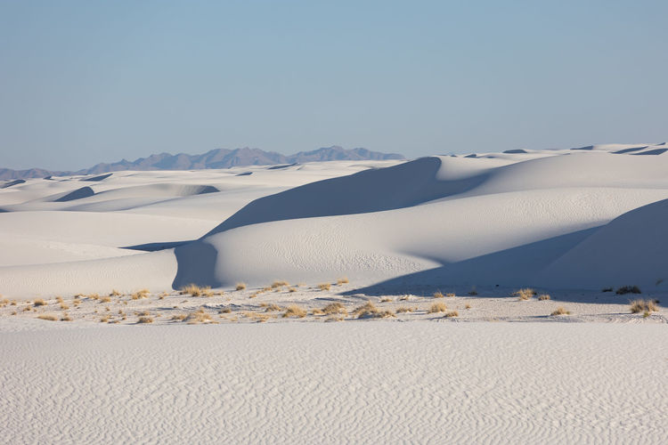 Rolling dunes of gypsum sand in white sands national park