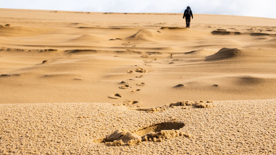 Rear view of person walking on sand in desert