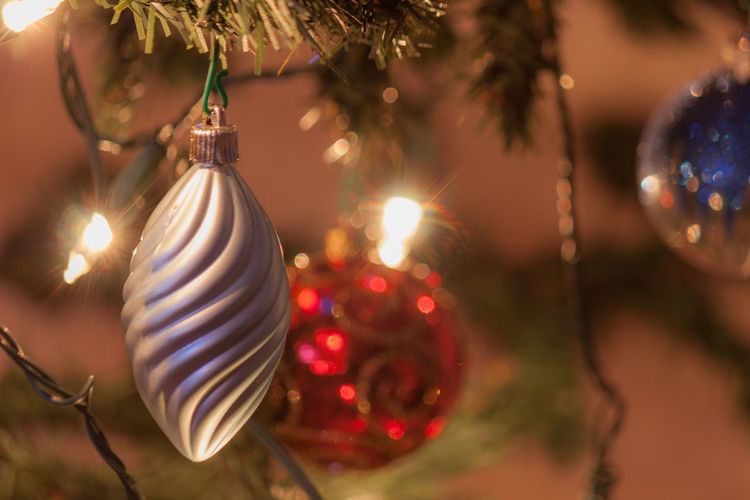 Close-up of illuminated christmas tree at night