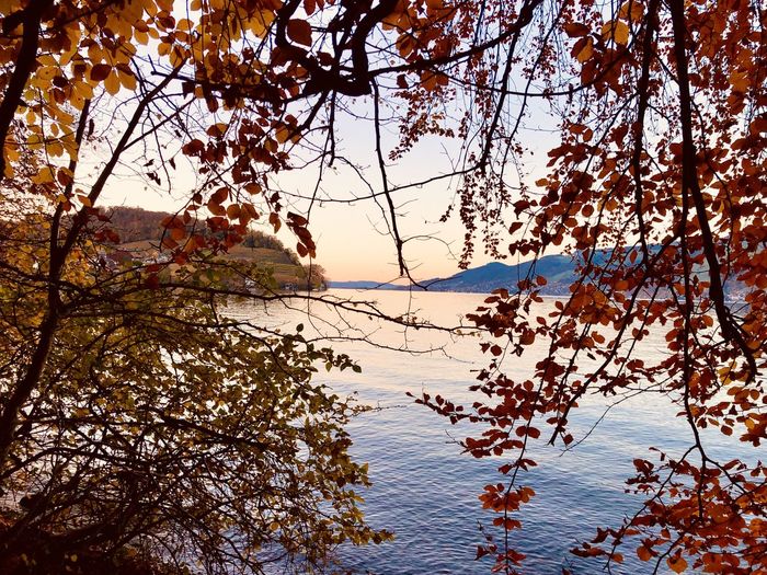 Scenic view of lake against sky during autumn