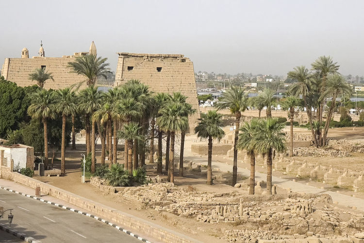 Panoramic shot of palm trees and buildings against sky