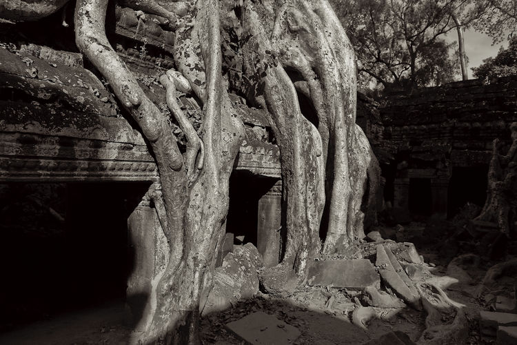 Old ruins of building