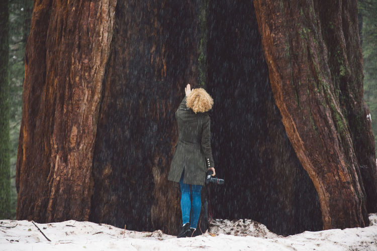 Rear view of woman touching tree trunk during winter