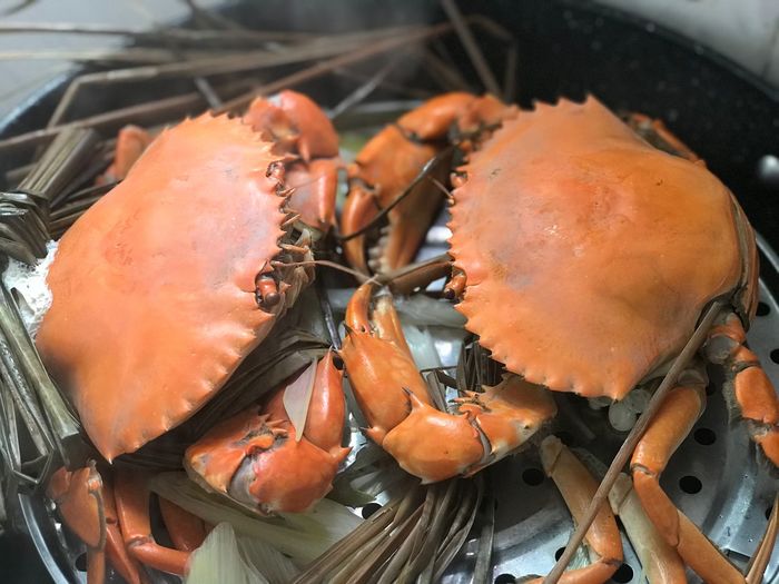 Close-up of crabs in steamer