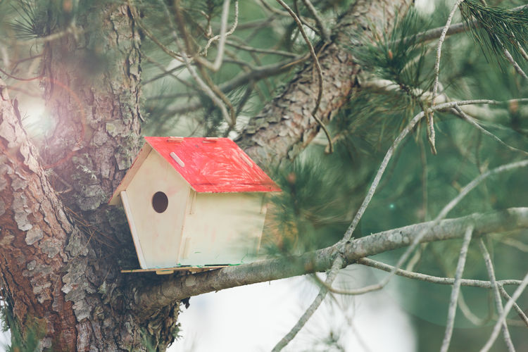 Close-up of birdhouse on tree