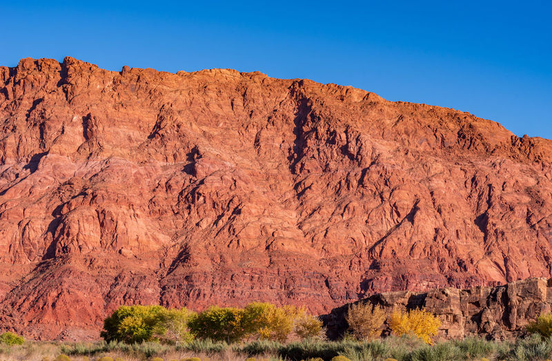Low angle landscape of barren red stone hillside and trees at marble canyon in arizona