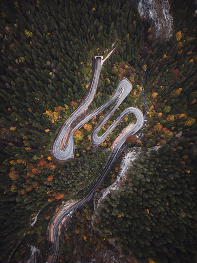 High angle view of autumn tree by road