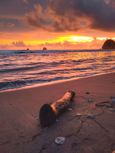 sea