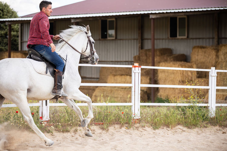 Full length of man riding horse in ranch