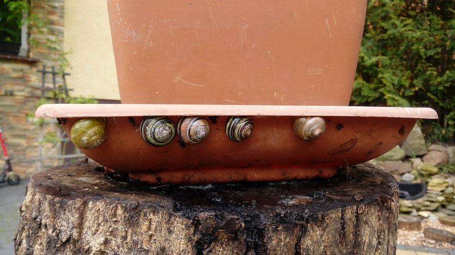 Close-up of rusty metal