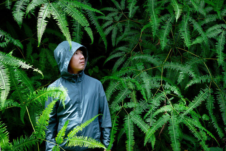 Man in green hoodie with zipper standing in bush of fresh firn leaves