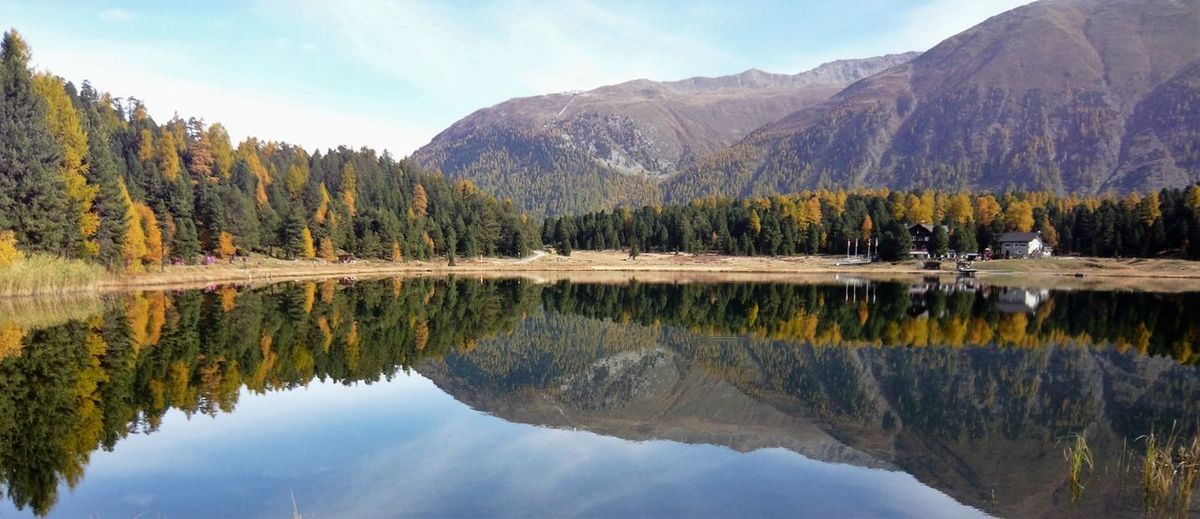 Reflection of trees in calm lake