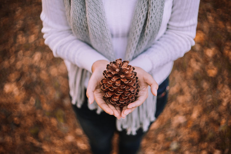 Midsection of woman holding pine cone at field