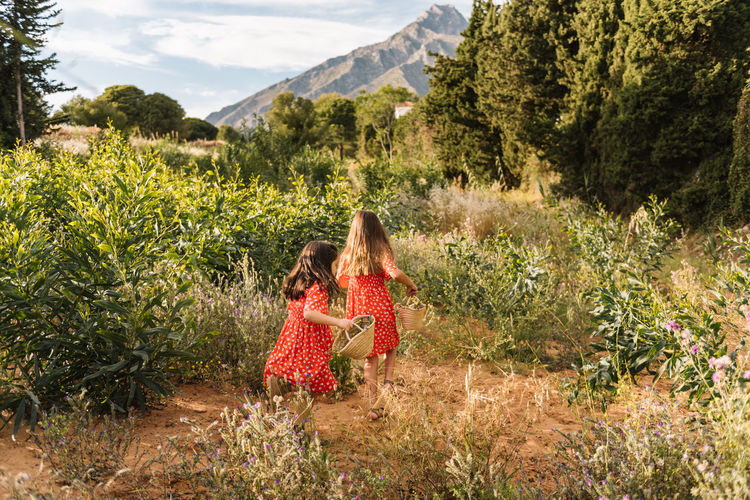 Back view of little girls wearing similar red dress carrying basket and walking on green meadow in summer day