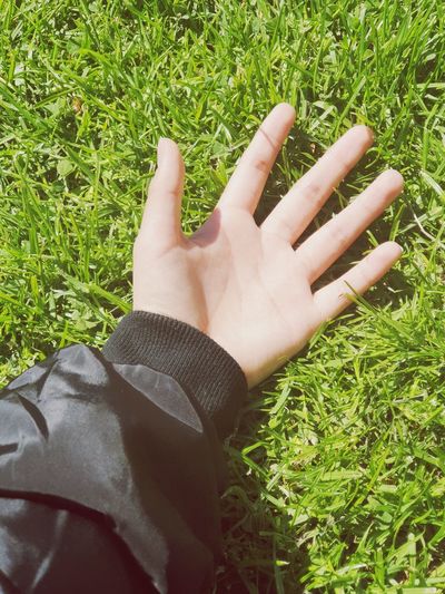 High angle view of hand on grass field