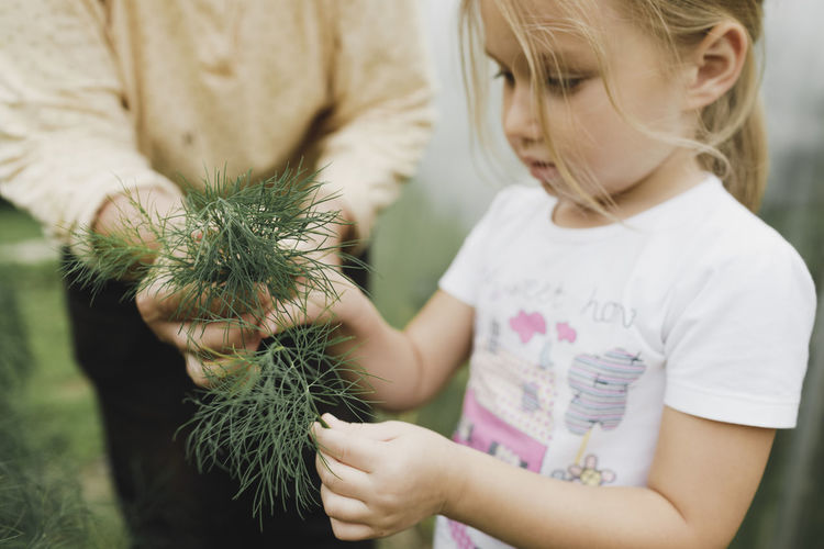 Close-up of girl holding plant