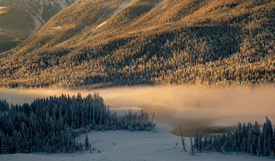 Misty morning on kanas river