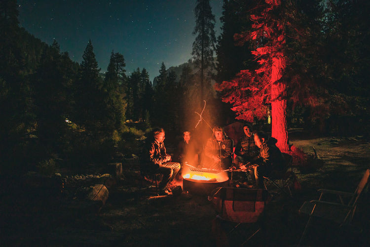 Bonfire by trees in forest at night
