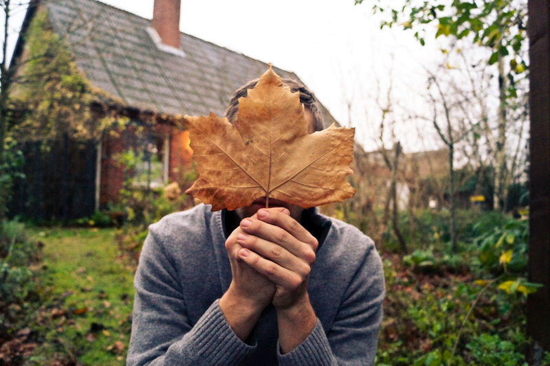 Autumn leaves on tree trunk