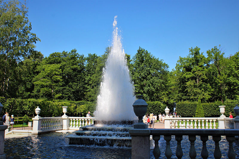 View of fountain against trees
