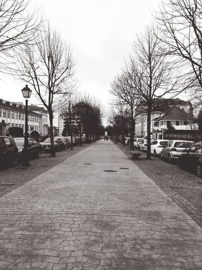 Empty road along bare trees