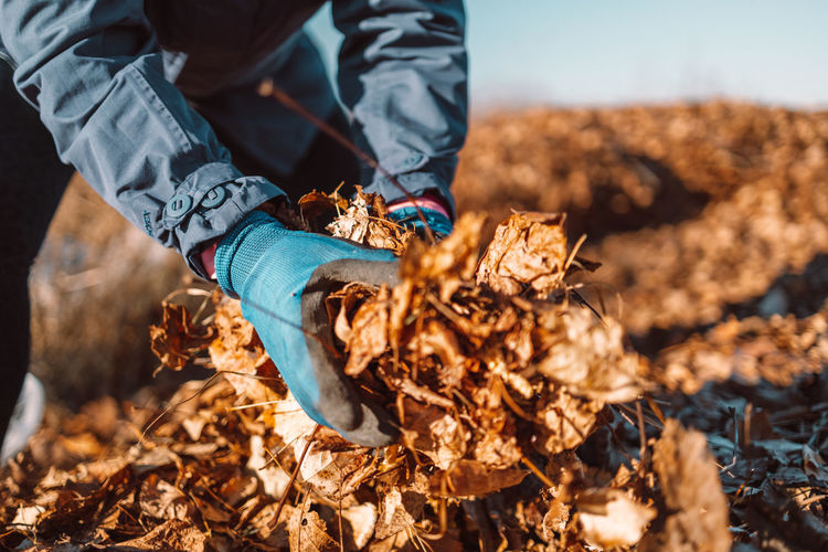 Midsection of man holding dry leaves