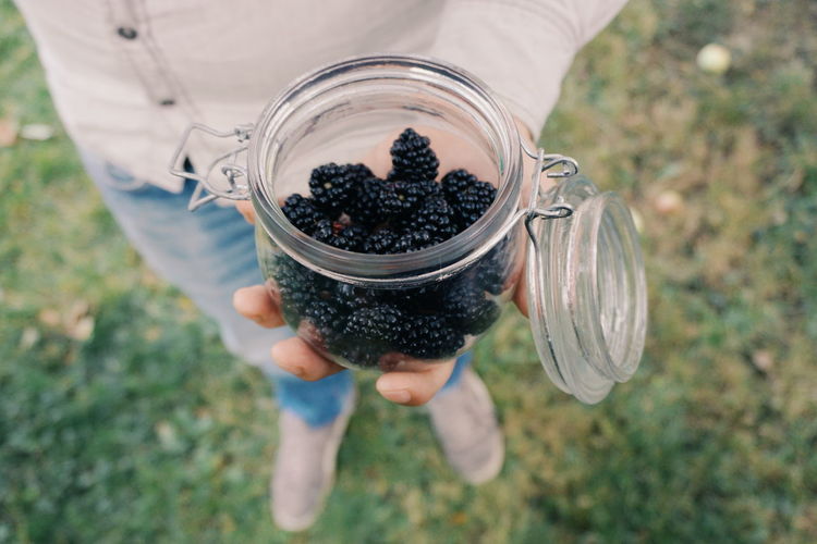 Low section of man holding blackberries in jar on field