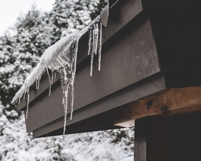 Low angle view of icicles hanging on wood