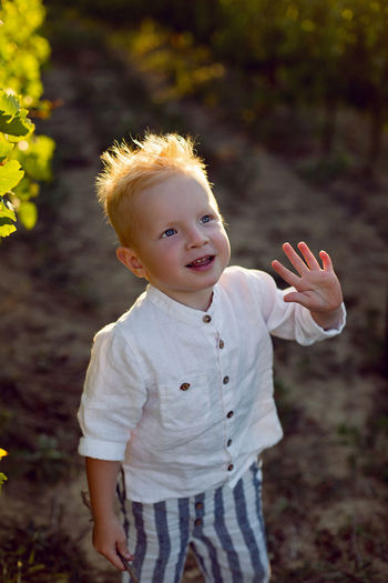 Blond boy in striped trousers stands in a vineyard at sunset holding a vine