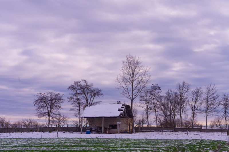 Bare trees on field by houses against sky
