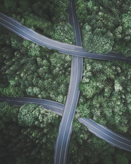 High angle view of road by trees in forest