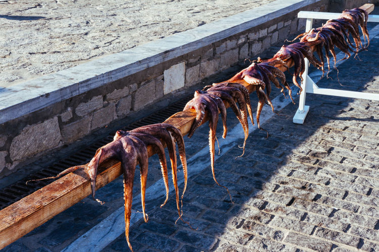 High angle view of octopus drying on railing