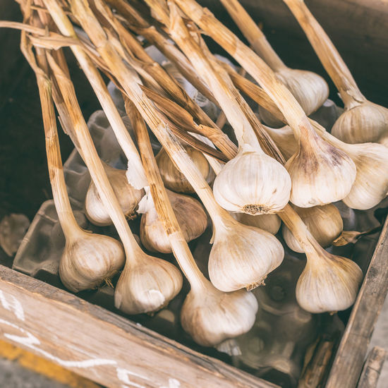 Close-up of garlic for sale