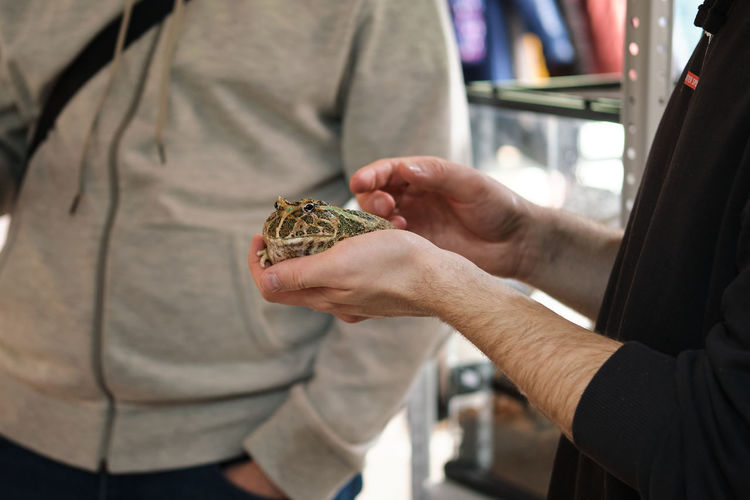 Man holds big toad in hands to overcome fear