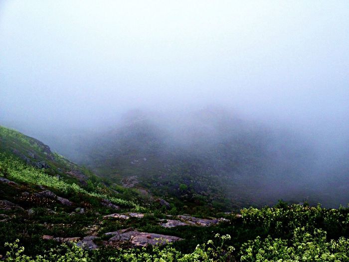 View of landscape in foggy weather