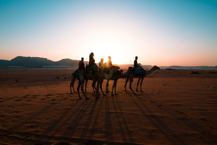 People riding camel on sand in desert at wadi rum against clear sky