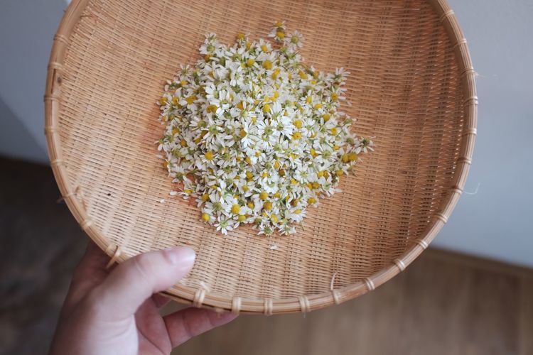 Cropped image of person holding wicker container with chamomile flowers