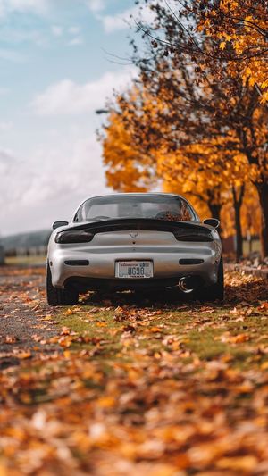 Car parked on street during autumn
