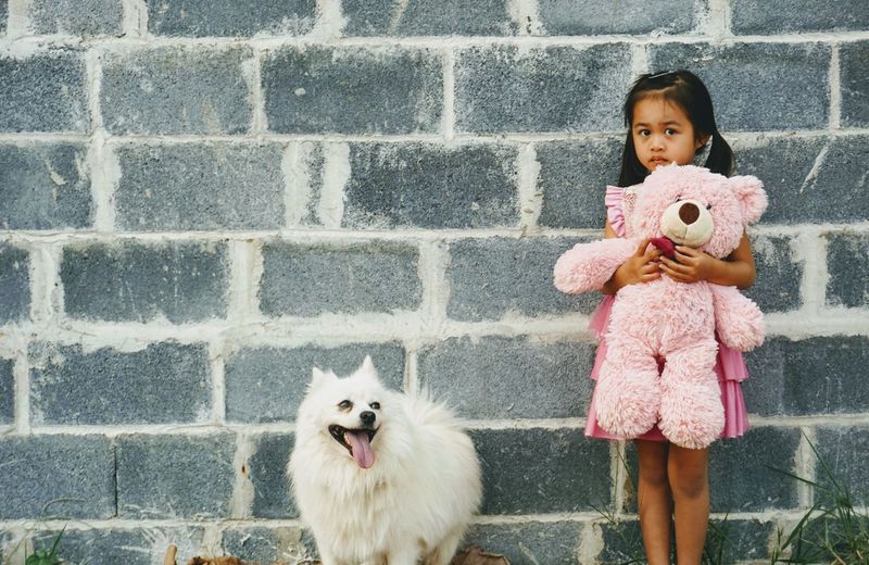 Portrait of cute girl with toy and dog standing against brick wall