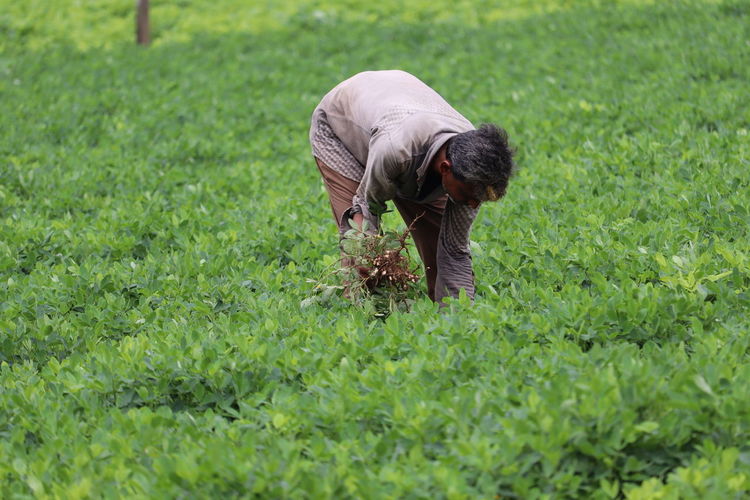 Man working on field