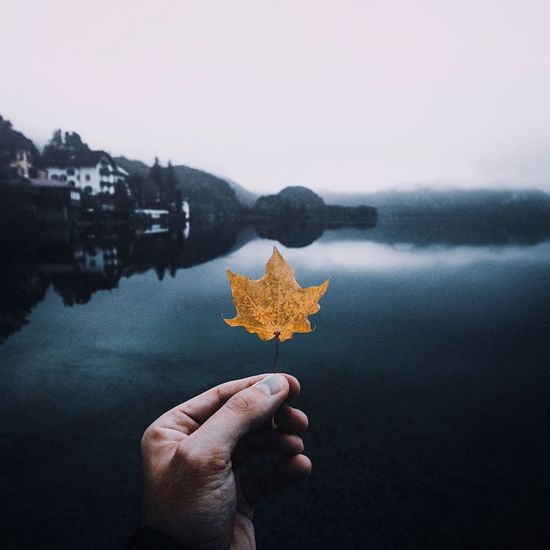 Person holding maple leaf against sky during autumn