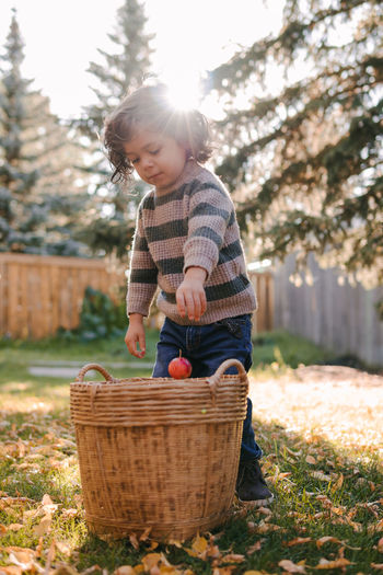 Portrait of cute baby boy with basket